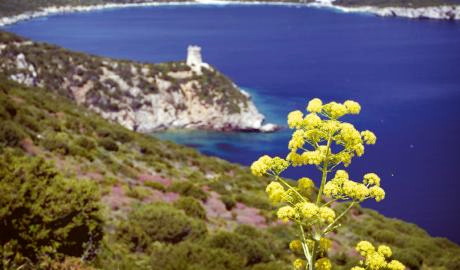 Sardinien - Wilde Schönheit