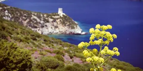 Titelbild für Sardinien - Wilde Schönheit
