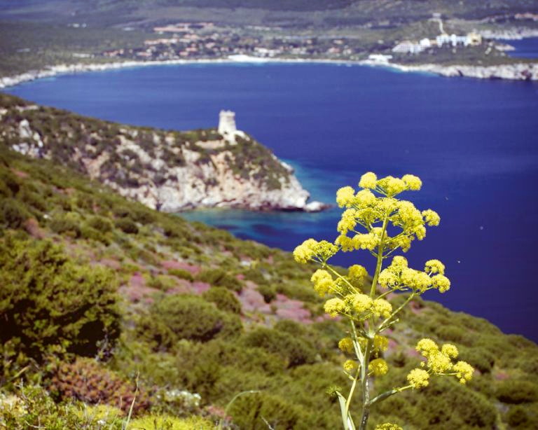 Titelbild für Sardinien - Wilde Schönheit